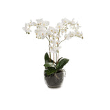 Phalaenopsis konstväxt vit M