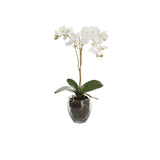 Phalaenopsis konstväxt vit S