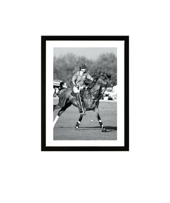 Exklusiv tavla Polo at Hillside Park